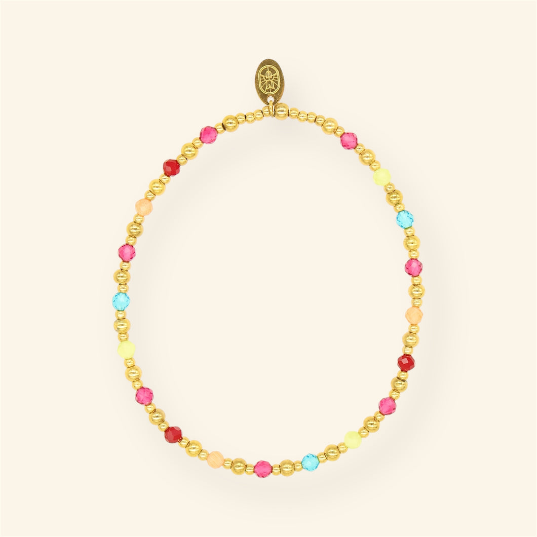 Multicolor armband